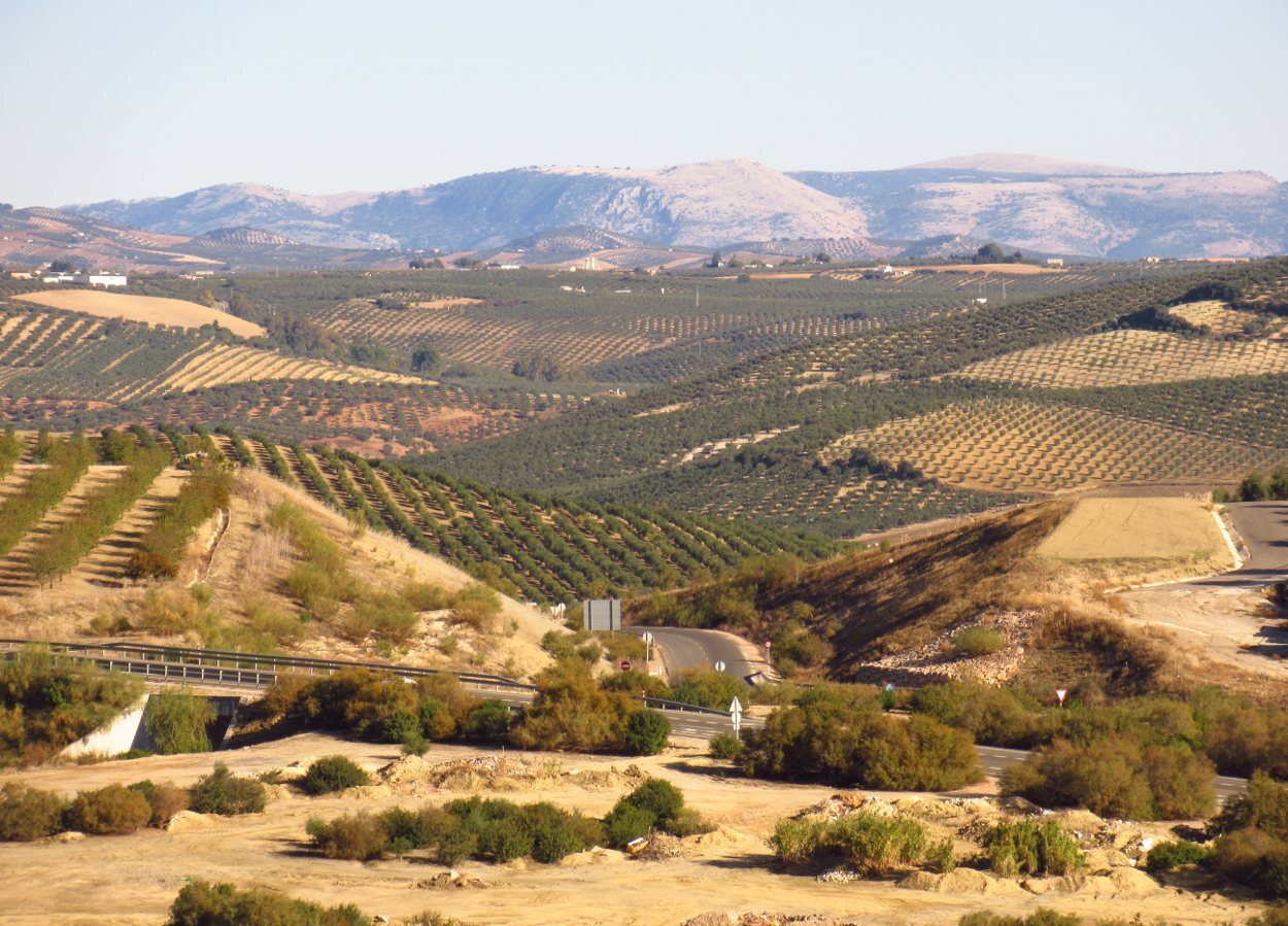 Paisaje de la Campiña Sur cordobesa