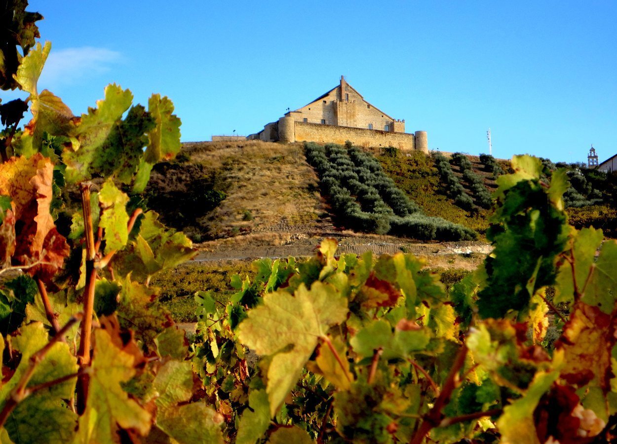 Castillo entre viñedos en la Campiña Sur cordobesa