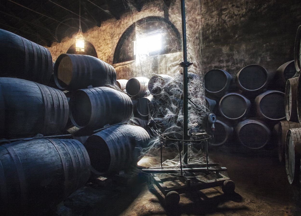 En la Campiña Sur cordobesa hay una gran cantidad de bodegas, destacando las de la DO Montilla-Moriles