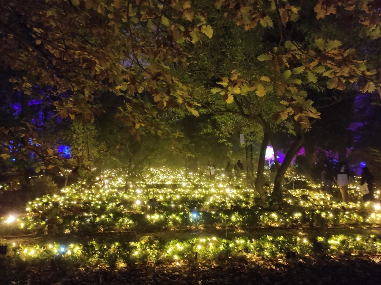 El bonito recorrido de luces por todo el Jardín | Foto: Raquel A. Sánchez