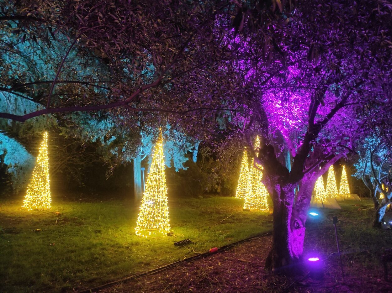 Los árboles de Navidad crean una senda