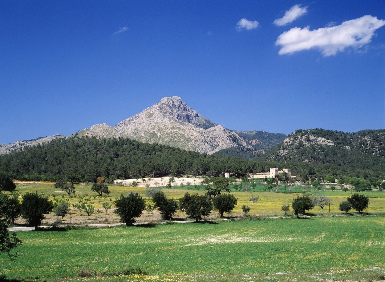 Vista del Puig de Galatzó | Walter Obiol