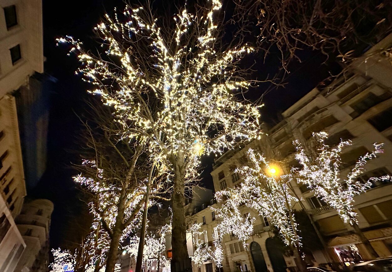 Iluminación de Navidad en la Avenida Montaigne