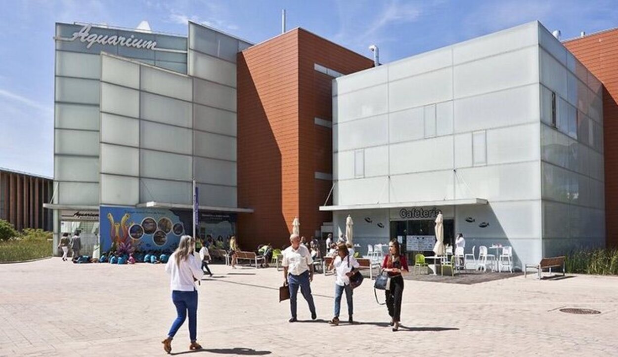 El Acuario de Zaragoza posee el acuario fluvial más grande de Europa | Foto: Acuario de Zaragoza