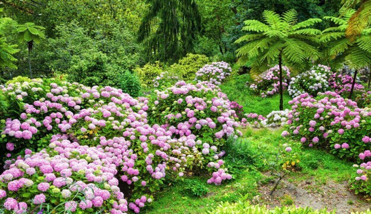 Jardines de la Quinta da Regaleira