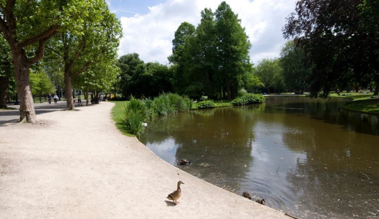 Vondelpark es un lugar perfecto para descansar entre museo y museo