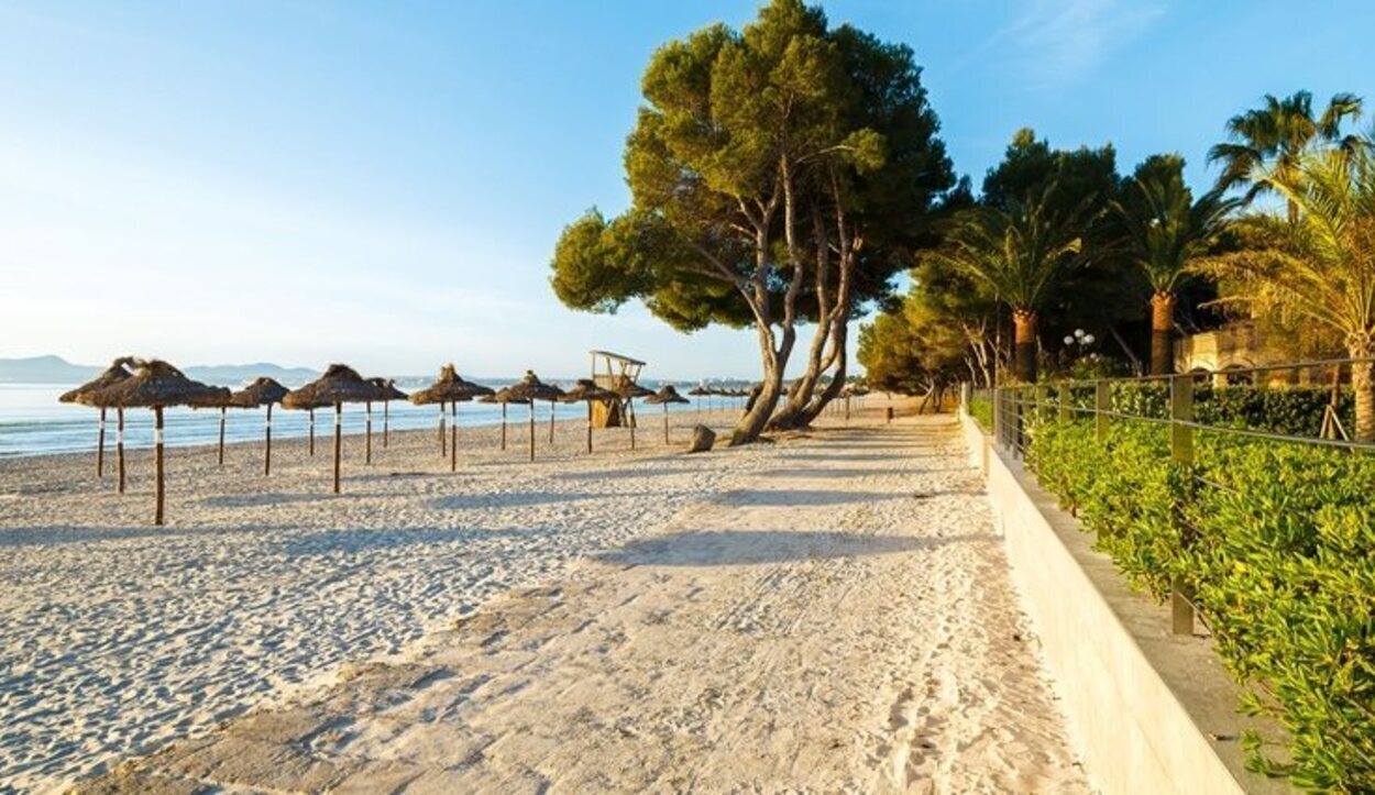 La Platja de Alcúdia, unida a la Platja de Muro, es la principal playa