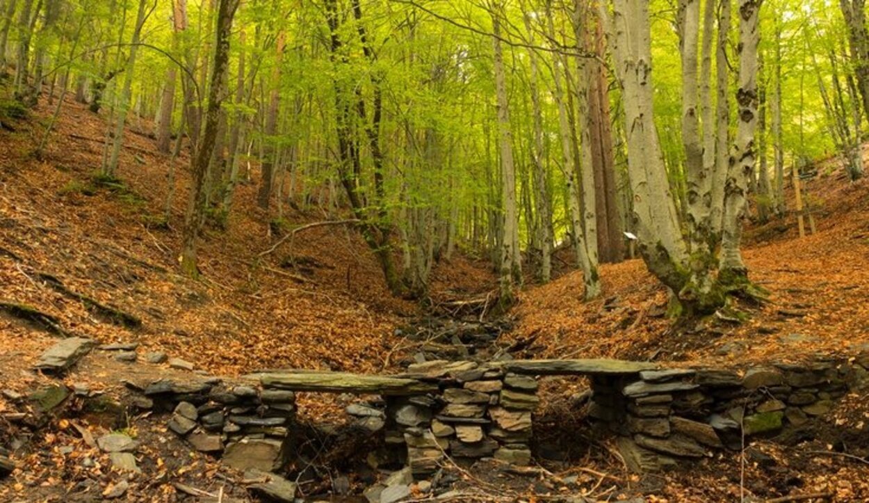 El otoño es la estación más adecuada para visitar los pueblos negros de Guadalajara