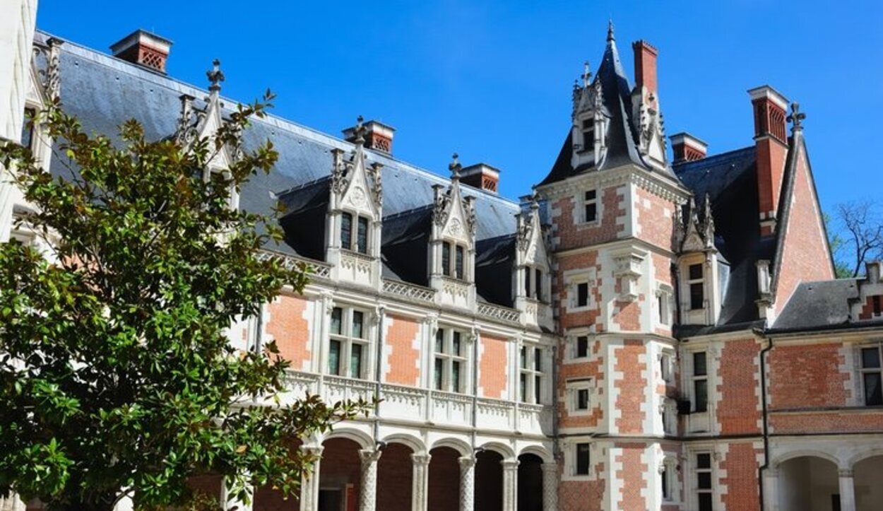 Castillo de Blois