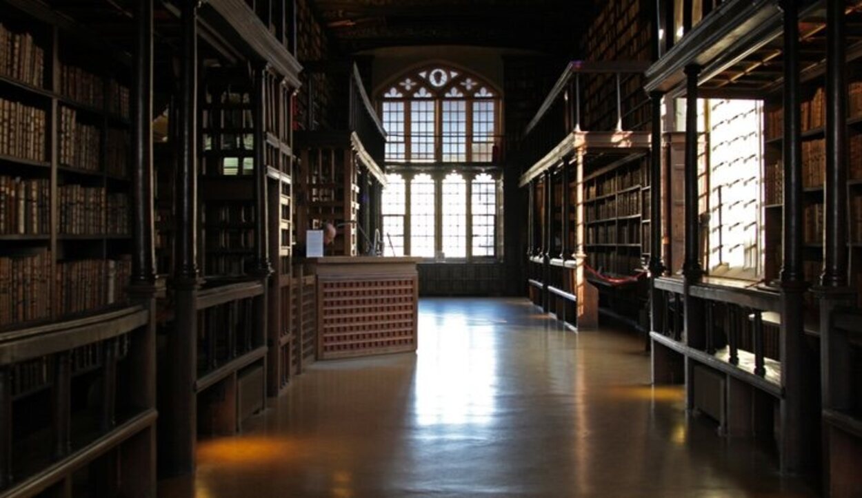 Esta biblioteca incluye estructuras de madera en su interior