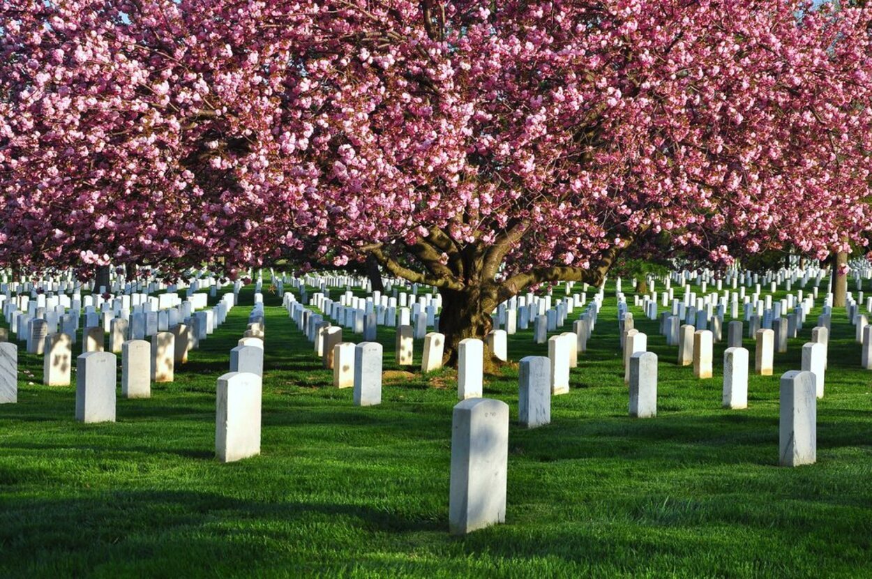 En el Cementerio Nacional de Arlington se enterraron a muchos militares abatidos en guerra