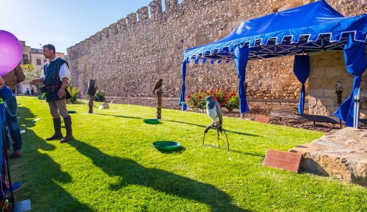 La famosa águila en las fiestas de Montblanc