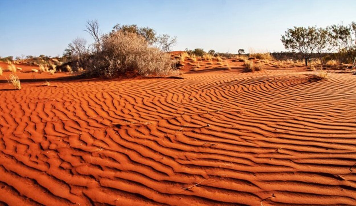 Las excursiones por el desierto es mejor no realizarlas en verano