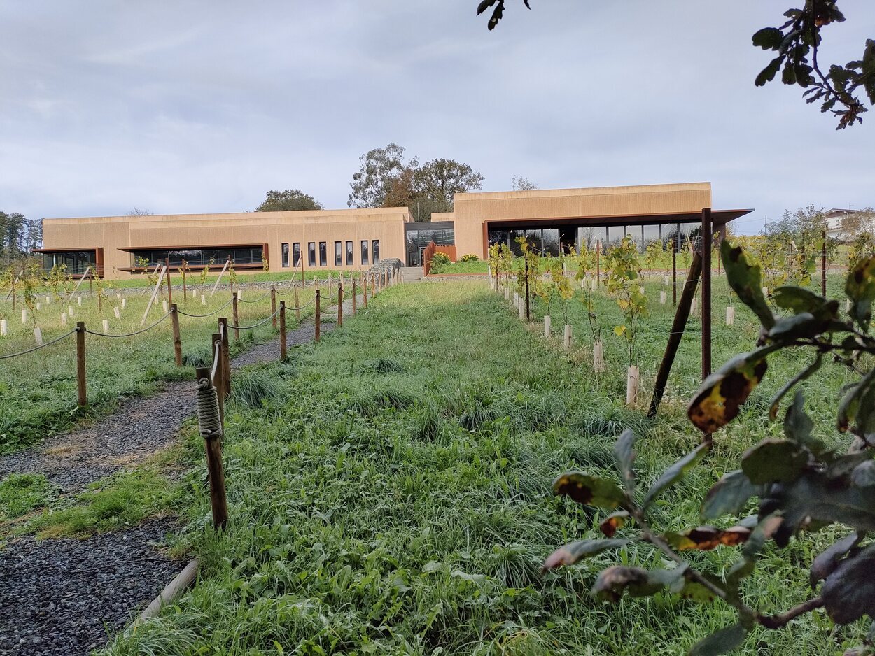 Vista de la bodega Itsasmendi