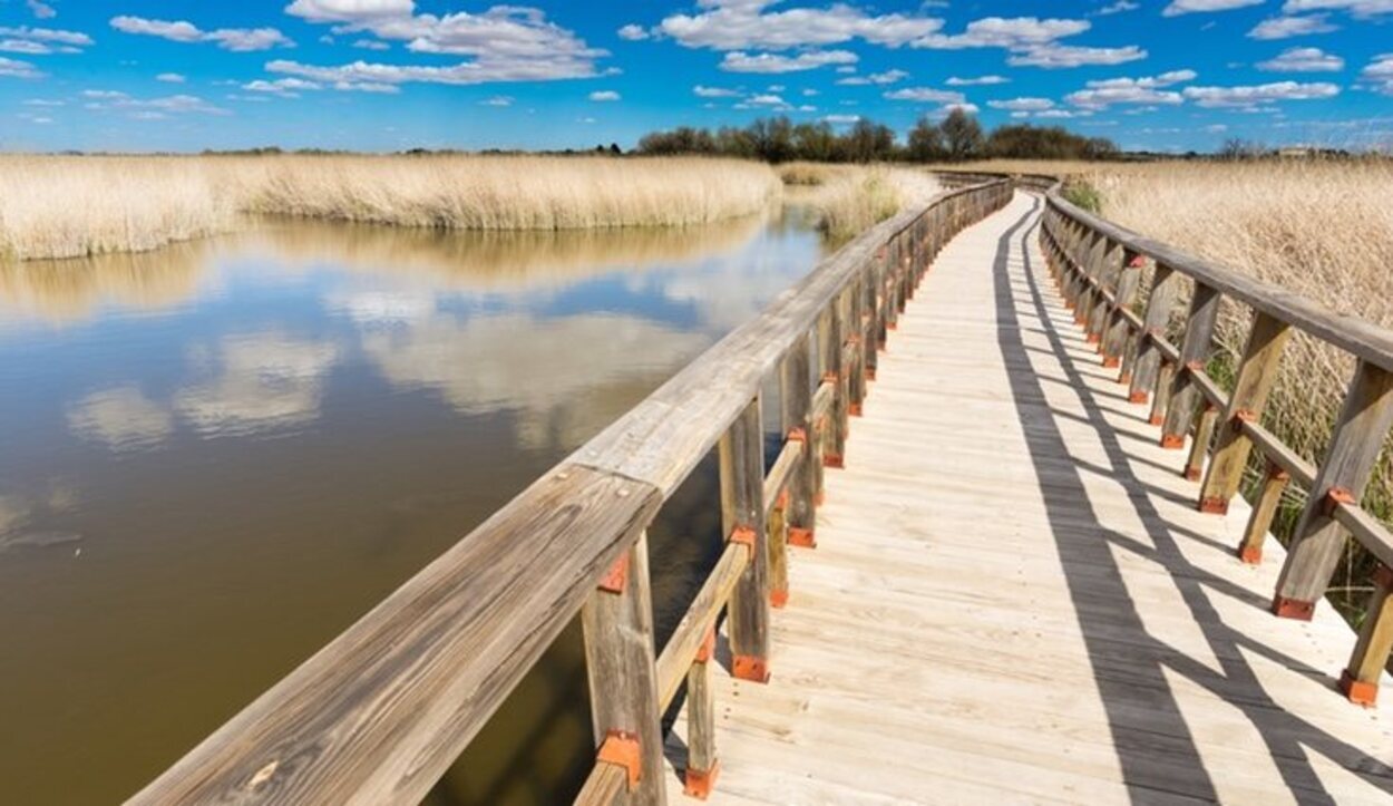 Las Tablas de Daimiel es uno de los humedales más impotantes de toda España