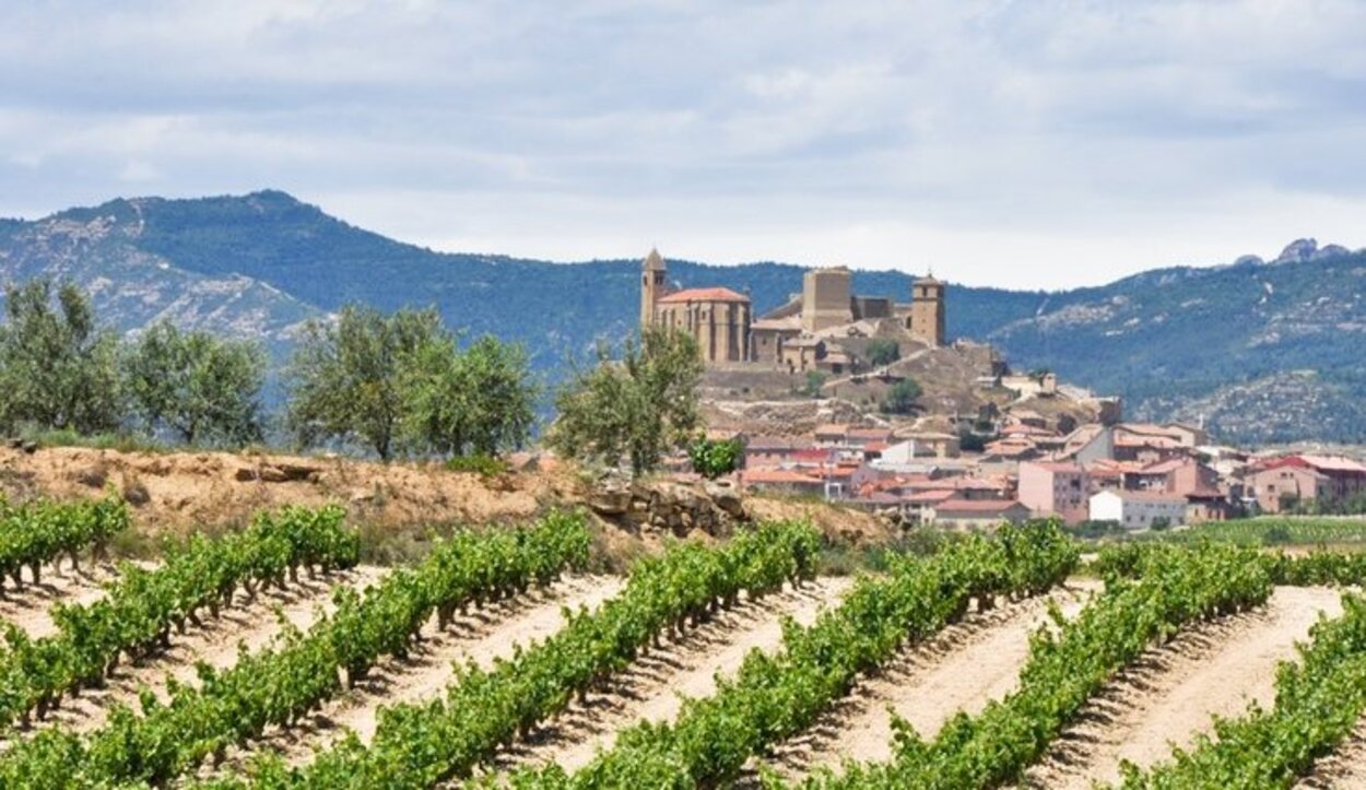 Hínchate a beber vino en las bodegas de San Vicente de la Sonsierra