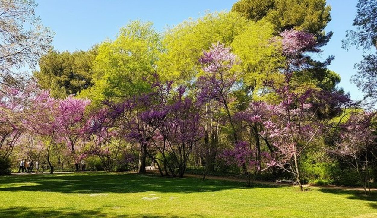 Disfrutar de la naturaleza en la ciudad de Madrid también es posible