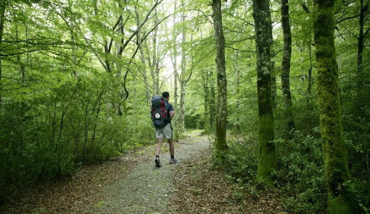 Hay senderos que te permiten hacer rutas por la selva