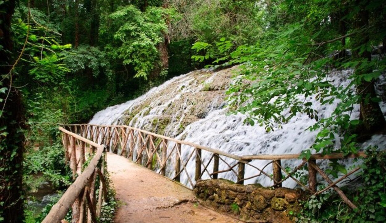 Caminos llenos de vegetación y agua para disfrutar de la naturaleza