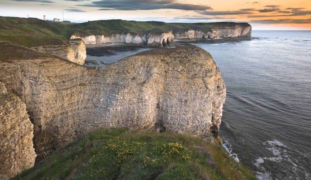 Los increíbles Bempton Cliffs