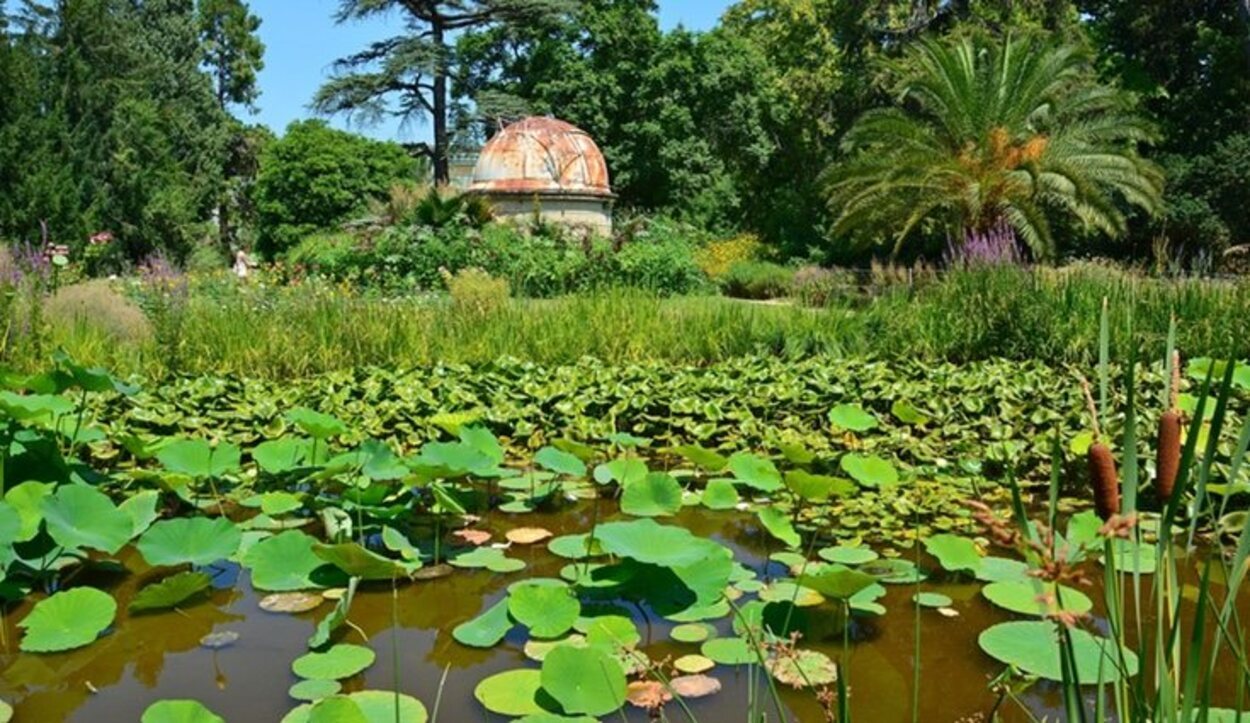 En el interior del Jardín Botánico