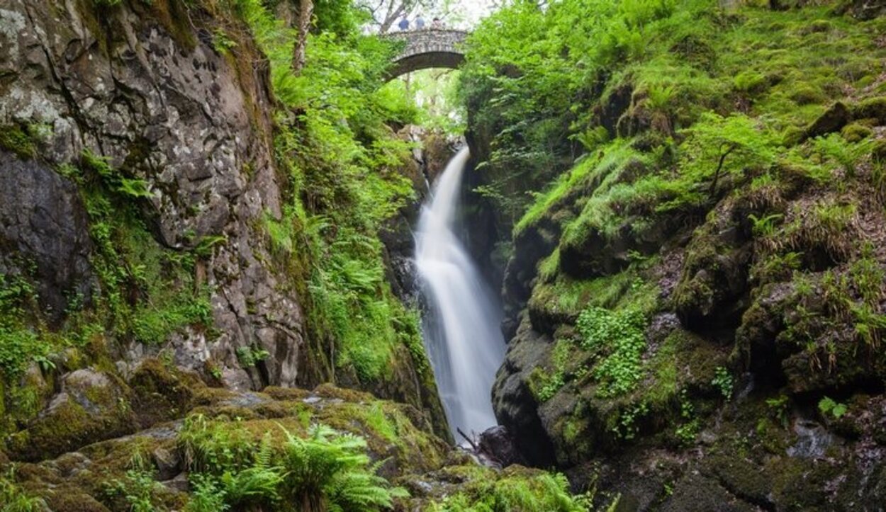 Aira Force Waterfall es un paisaje precioso para sacar tus mejores fotos