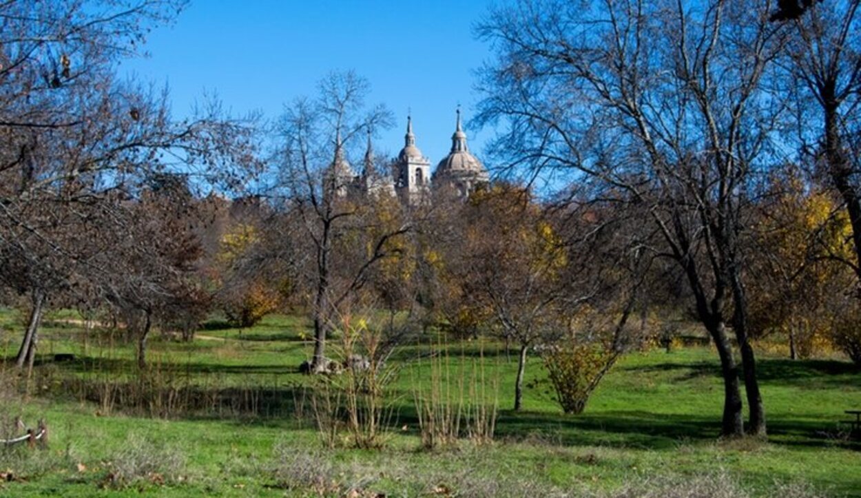 Un bonito paseo entre árboles