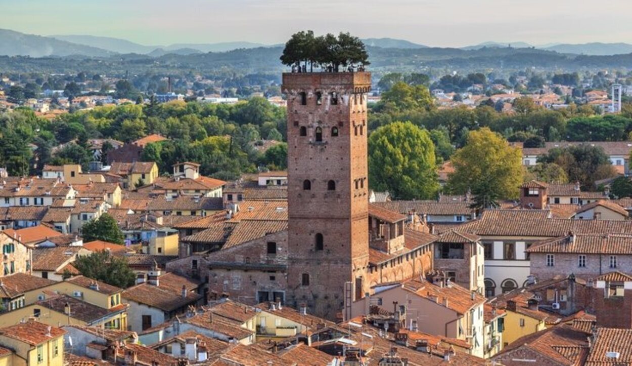 En la parte superior de la Torre Guinigi hay un jardín que contiene árboles de roble