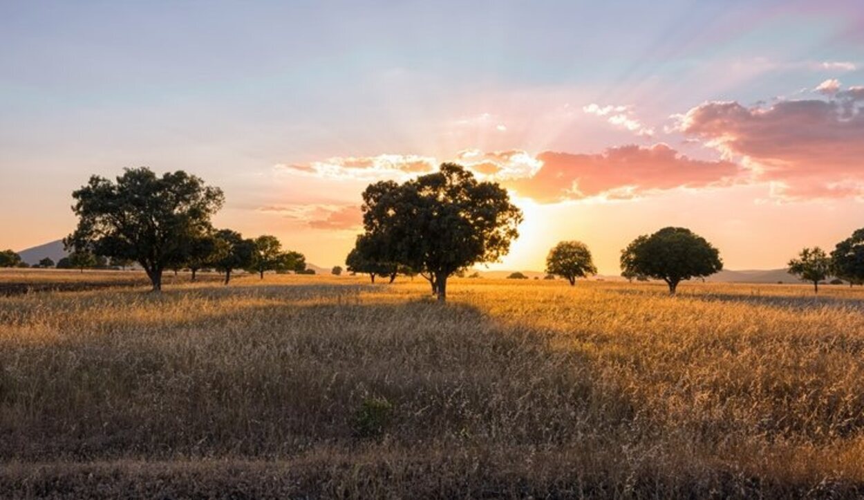 Hay casas rurales, bares y restaurantes disponibles para todos los visitantes