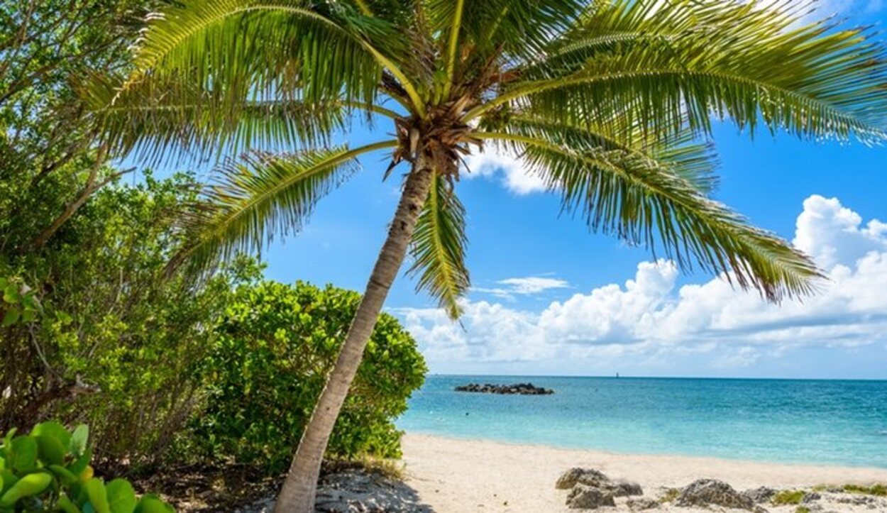 Zachary Taylor State Park Beach es una de las mejores playas de aguas cristalinas