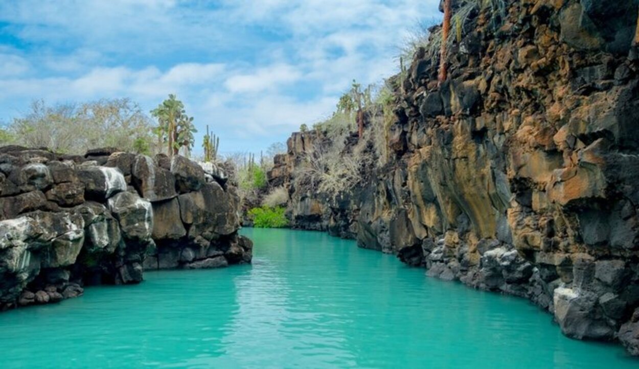 En la Isla Santa Cruz es donde más alojamientos hay