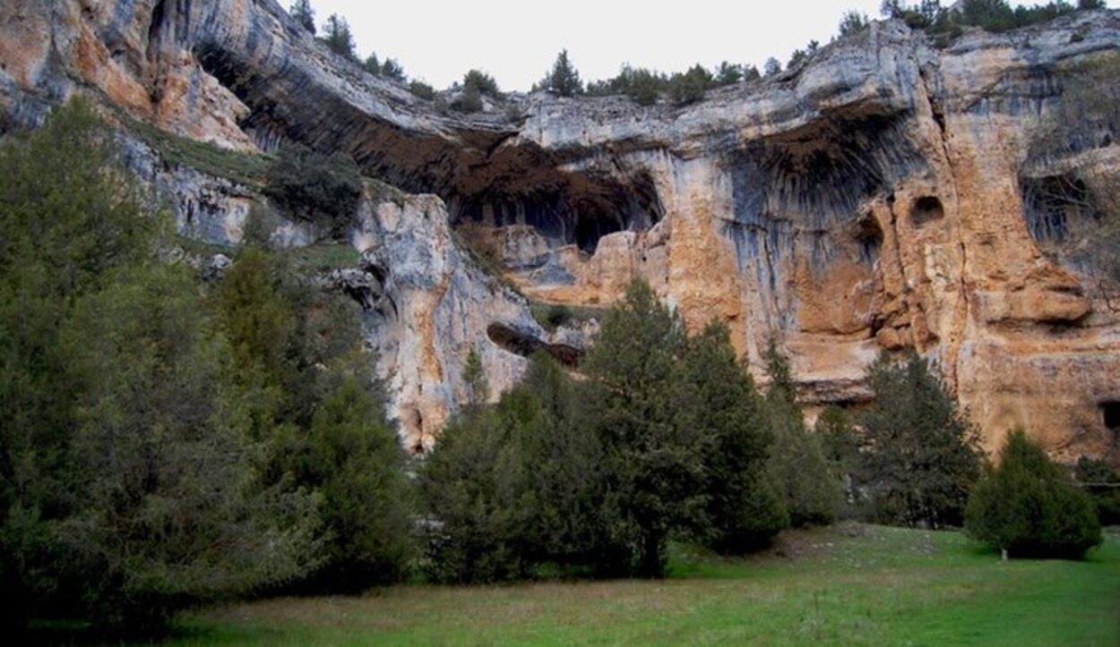 Numerosas especies de pinos o enebros anotan la nota verdad al paisaje