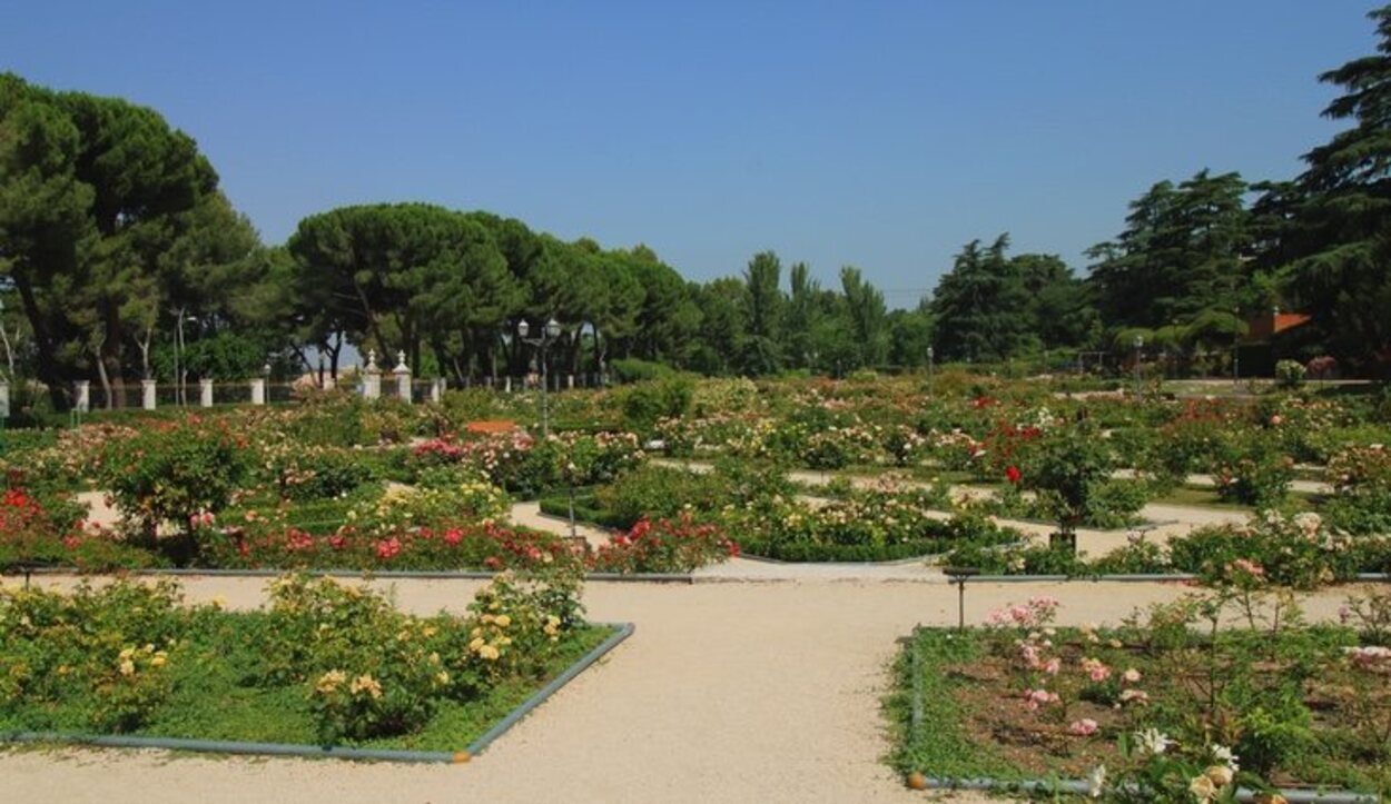 La Rosaleda del Parque del Oeste