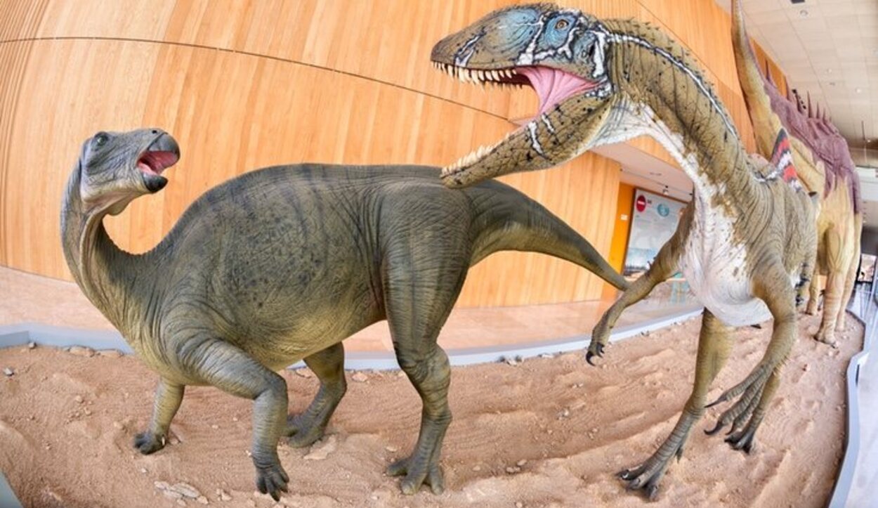 Conoce a Pepito y sus amigos en el Museo de Paleontología de Castilla-La Mancha de Cuenca