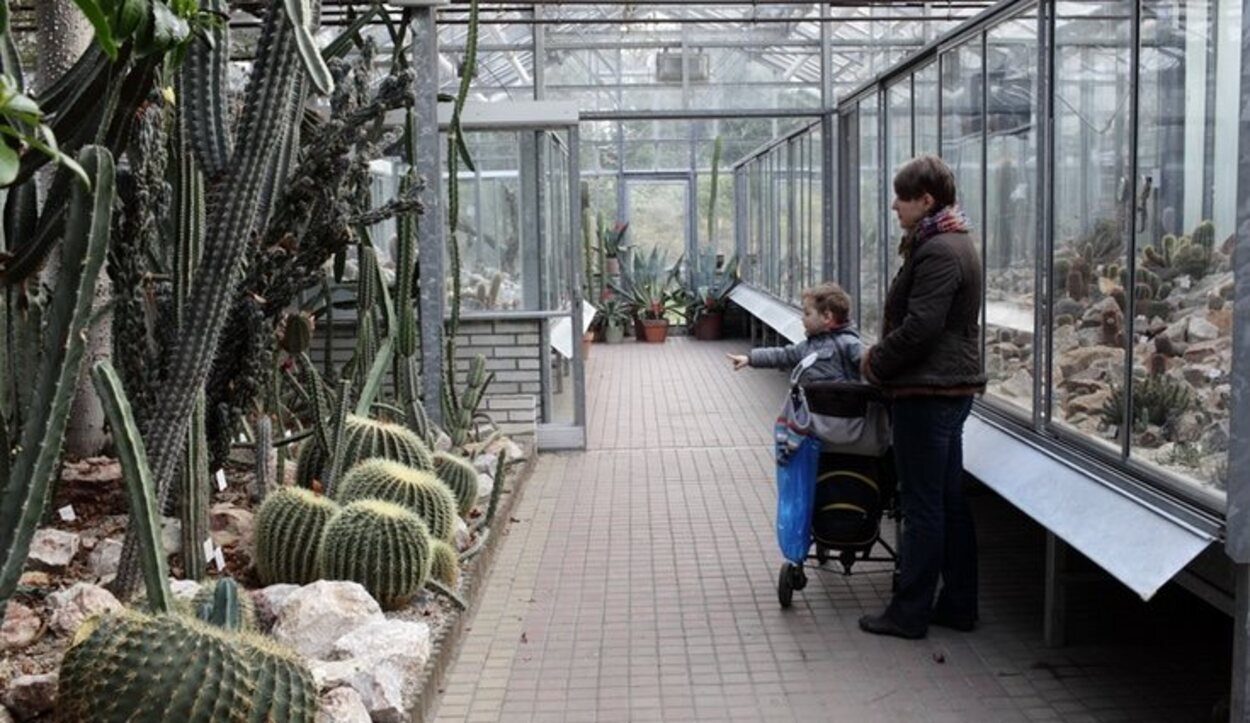 El recinto de cactus es uno de los lugares más chulos