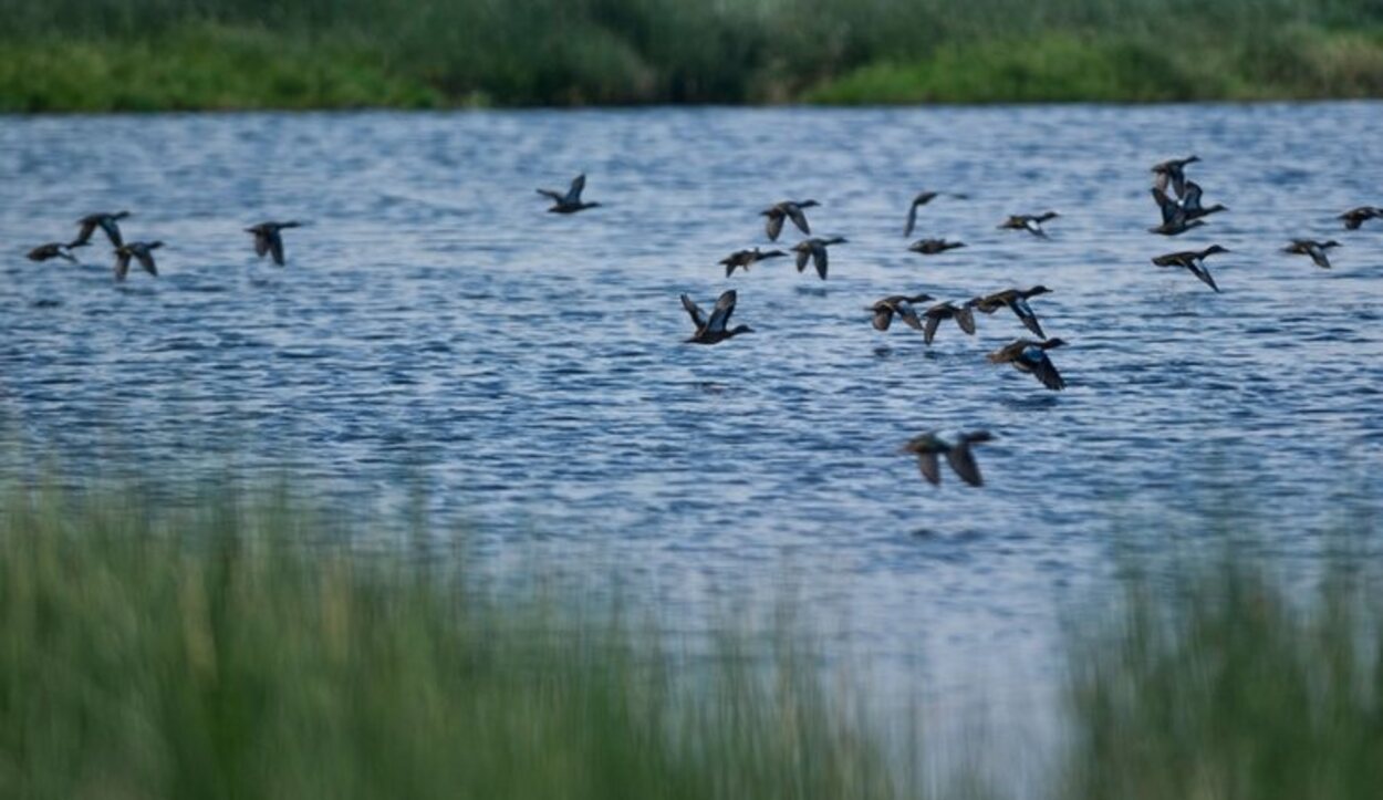 Santuario Nacional Lagunas de Mejía