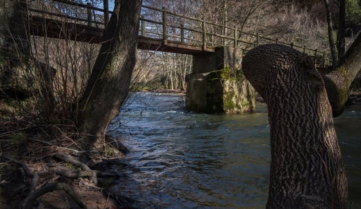 Música para los oídos al recorrer las aguas del río