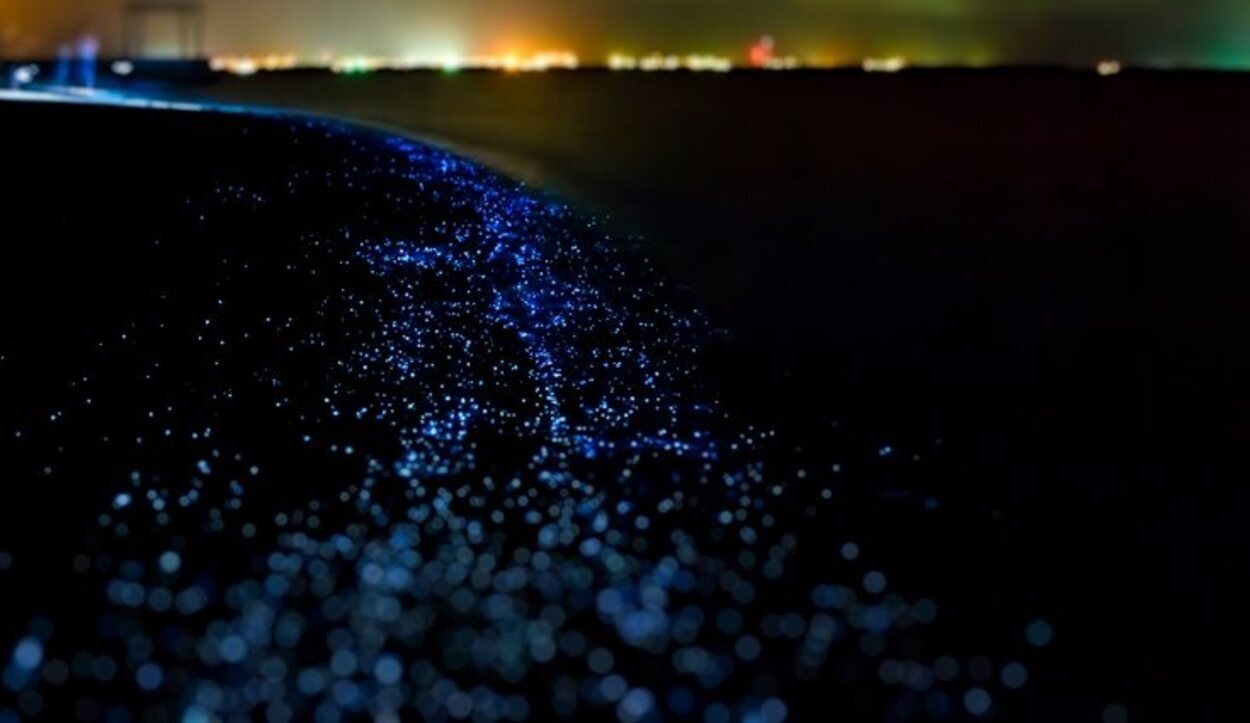 La bioluminiscencia es una de las cosas más espectaculares de la Isla Vaadhoo