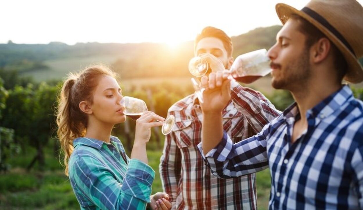 El vino es el producto estrella de la ciudad de Toro