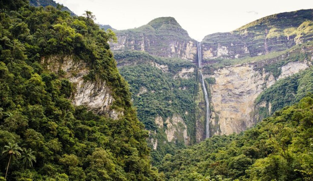 La Cordillera Azul recoge la mayor cantidad de selva intacta del país peruano