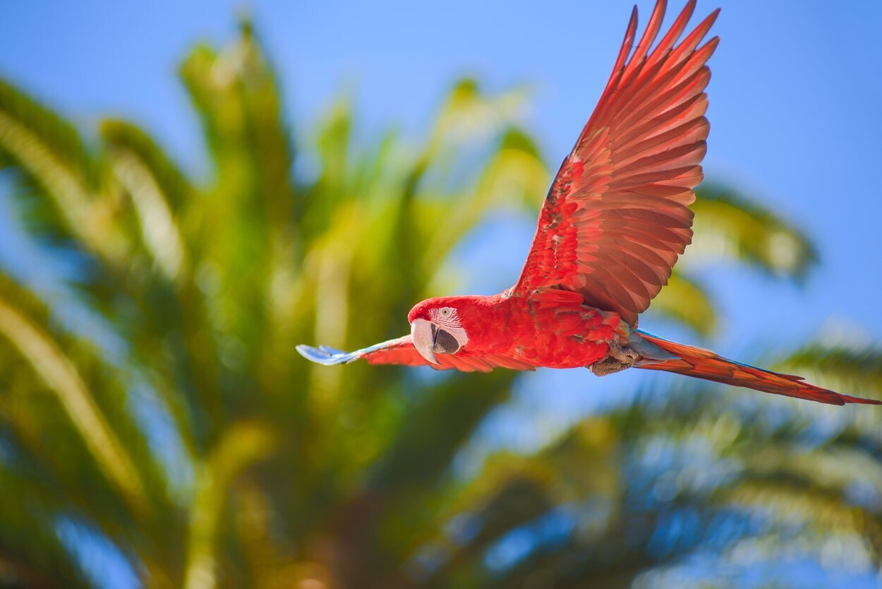 Palmitos Park es un jardín botánico y zoológico que se convertirá en una gran aventura para los más pequeños