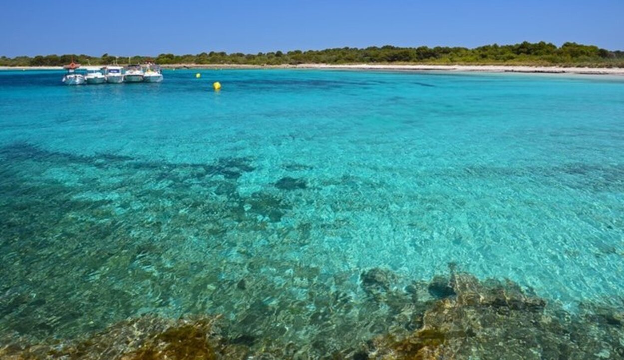 Vista panorámica de la cala Son saura