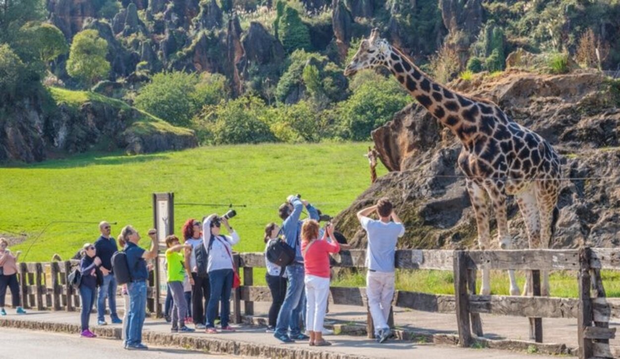 El Parque de Cabárceno está lleno de animales