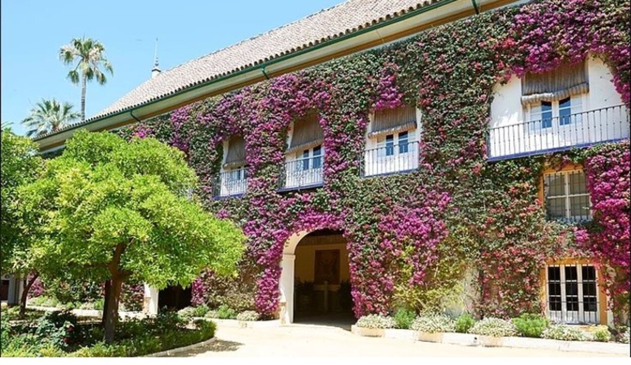 Una de las fachadas del Palacio de las Dueñas, cubierta de buganvillas 