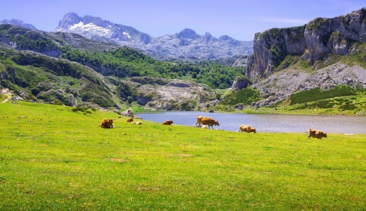 Turistas de todos los rincones se enamoran de este entorno