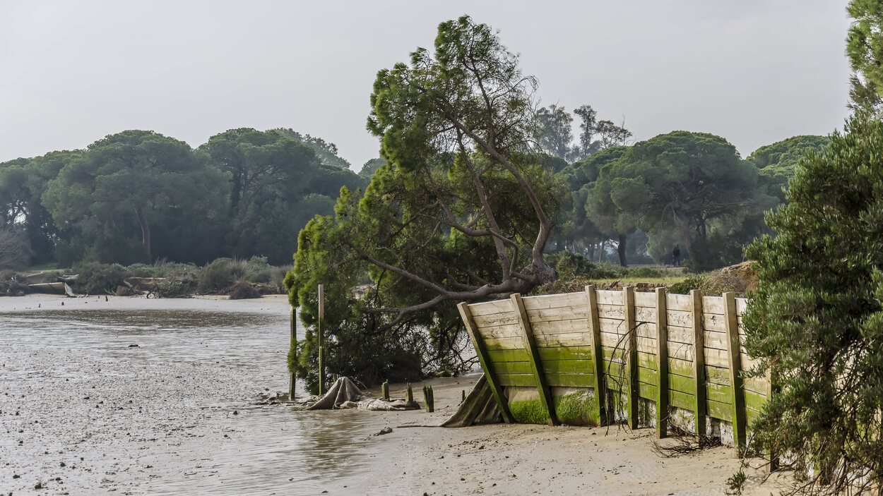 La riqueza natural del parque de Doñana siempre ha sido el foco de las miradas humanas