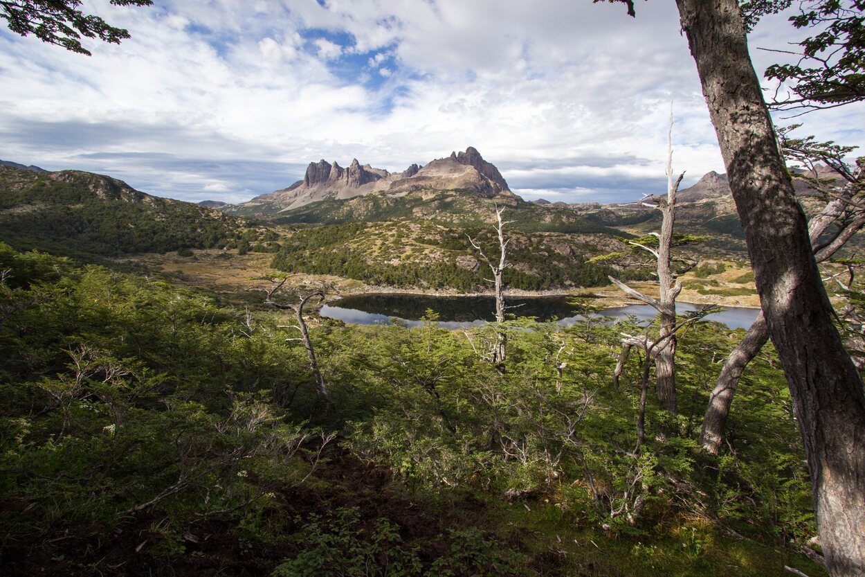 Tampoco hay que perderse la oportunidad de visitar el pueblo más austral de América, Puerto Toro