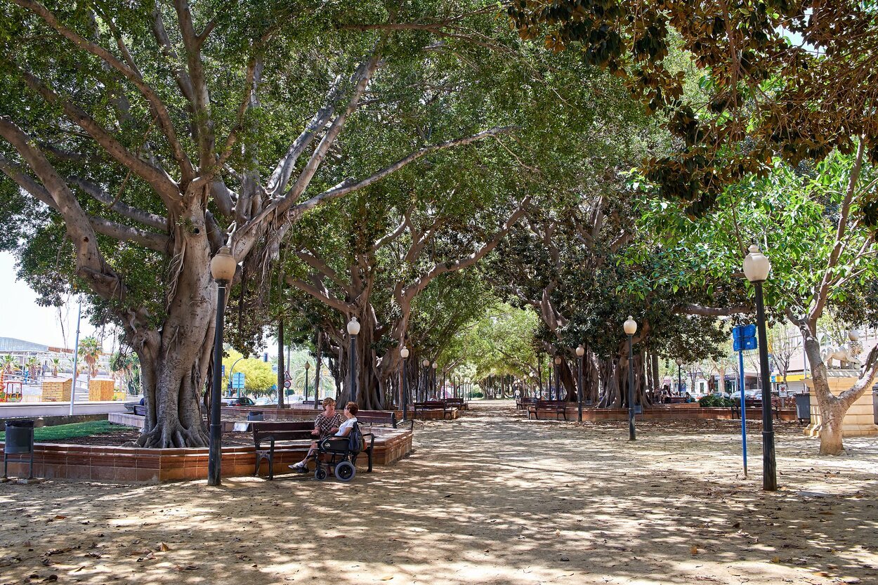 Los árboles monumentales del Parque Canalejas son su principal aliciente