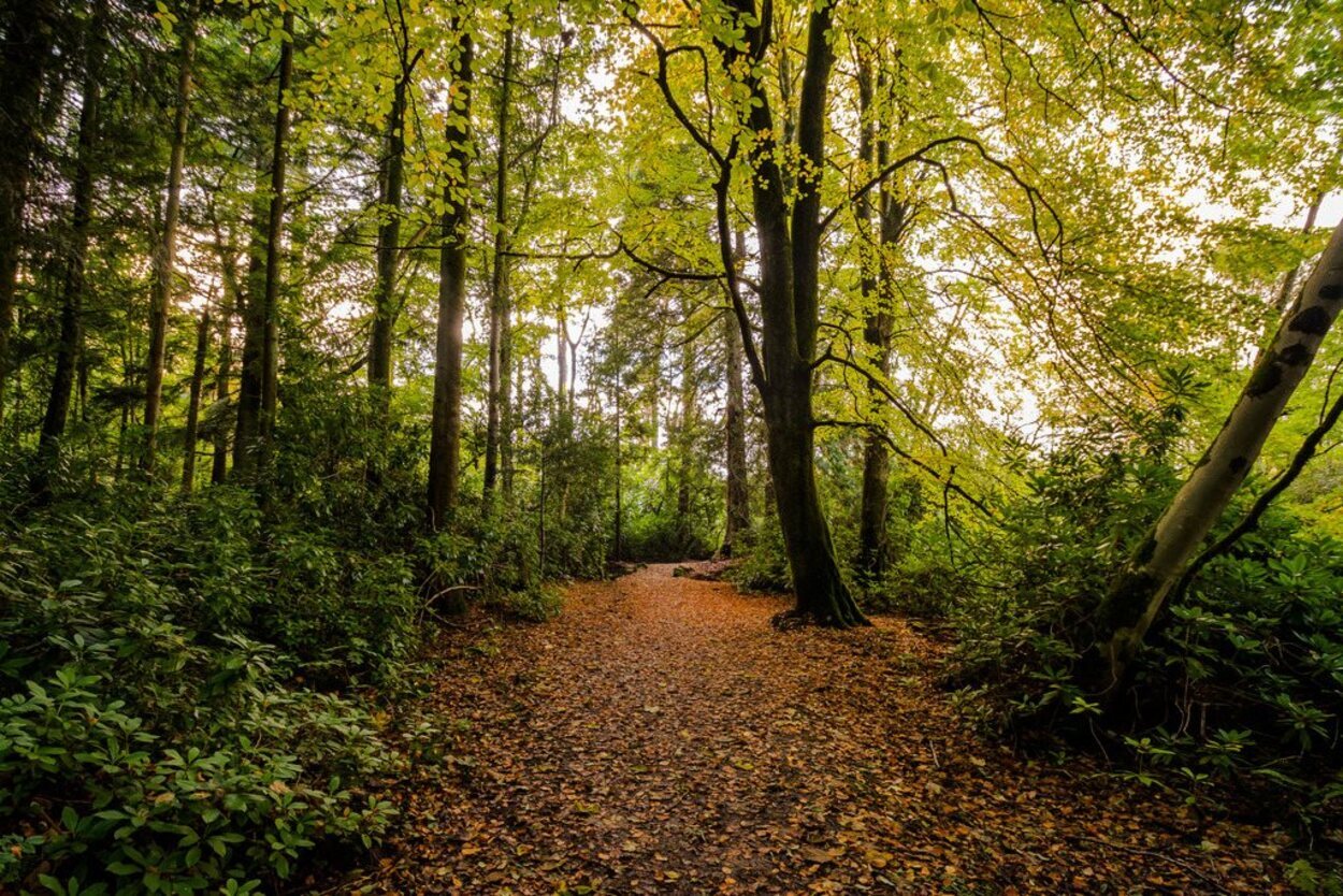 Irlanda en otoño merece la pena ser visitada