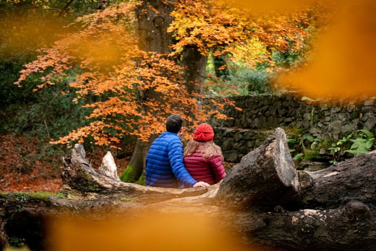 El parque foral de Kilbroney es ideal para visitar en pareja